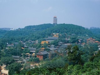 鸟瞰图