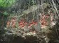 20100422114242939