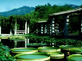 南京景点_南京景点门票预订_南京旅游景点大全