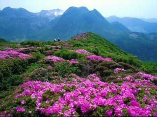 大明山
