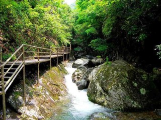 东天目山