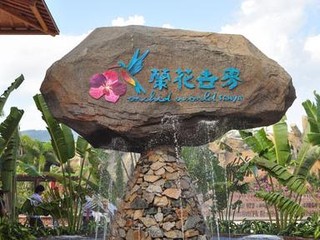 兰花世界2