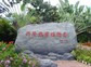 兴隆热带植物园