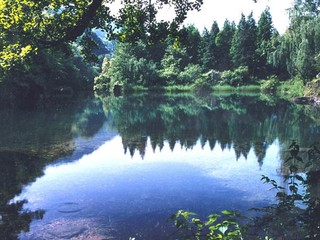 浙西天目山