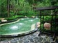 丽星温泉