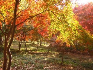 南京栖霞山风景名胜区