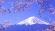 <strong><日本本州5晚6日></strong>浪漫粉红雨，品日式料理，日式温泉