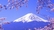 [金泽-京都-大阪-爱知-箱根-东京-富山8日]