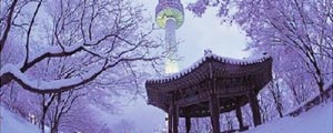 日韩春节旅游