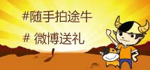 随手拍途牛
