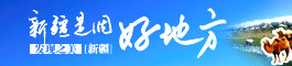 新疆游