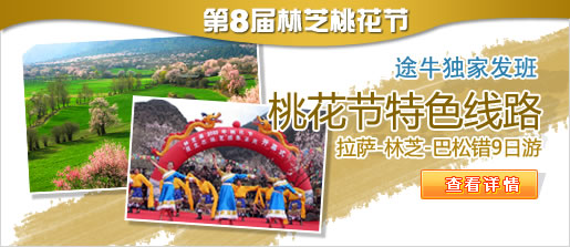 第八届林芝桃花节开幕啦!